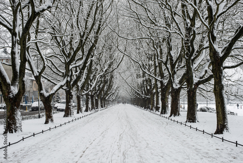 Winter Winter