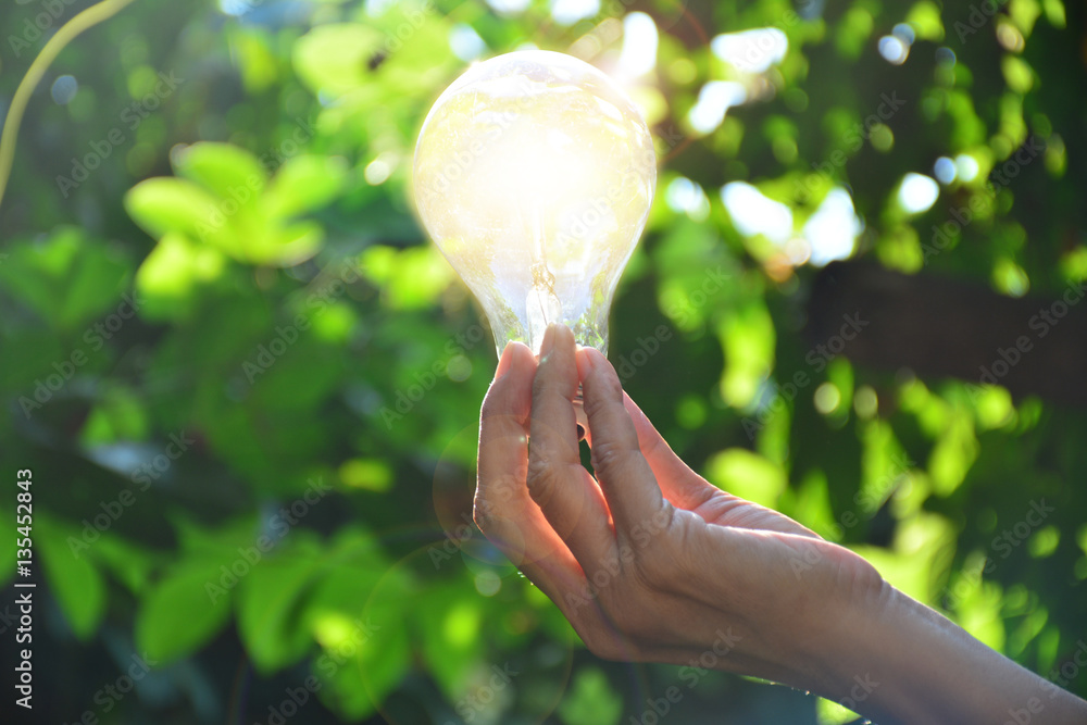 Hand of person holding light bulb for idea or success or solar energy 