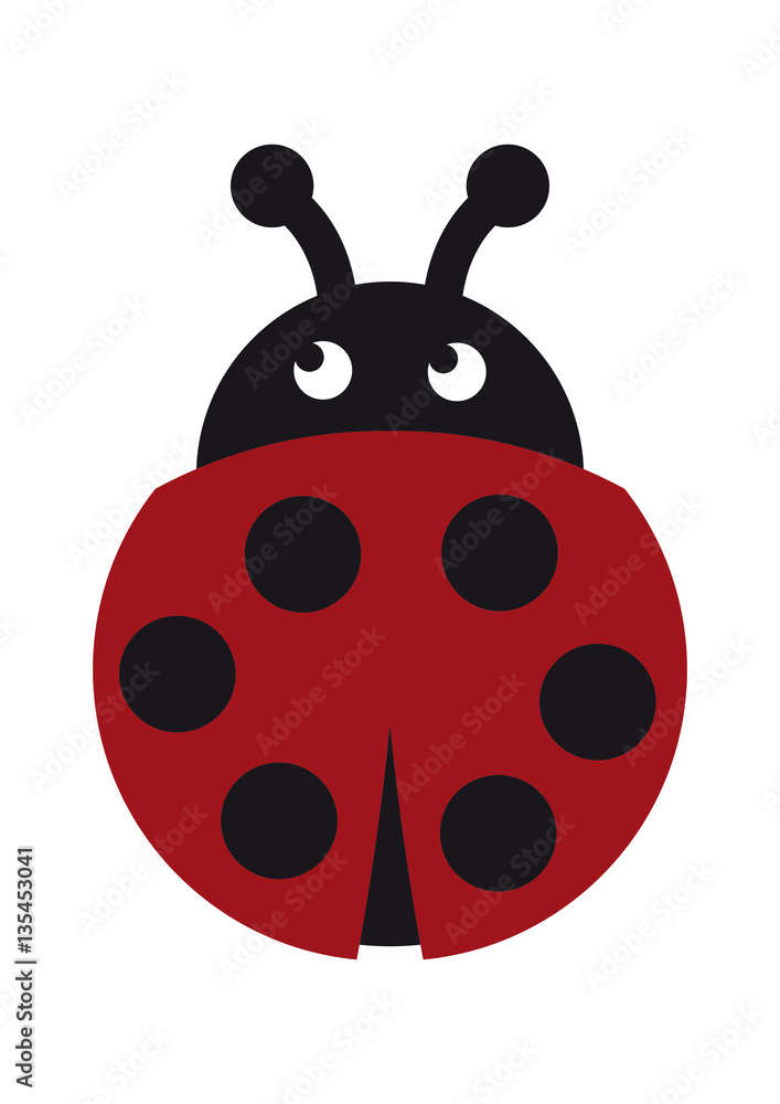 Obraz premium Marienkäfer