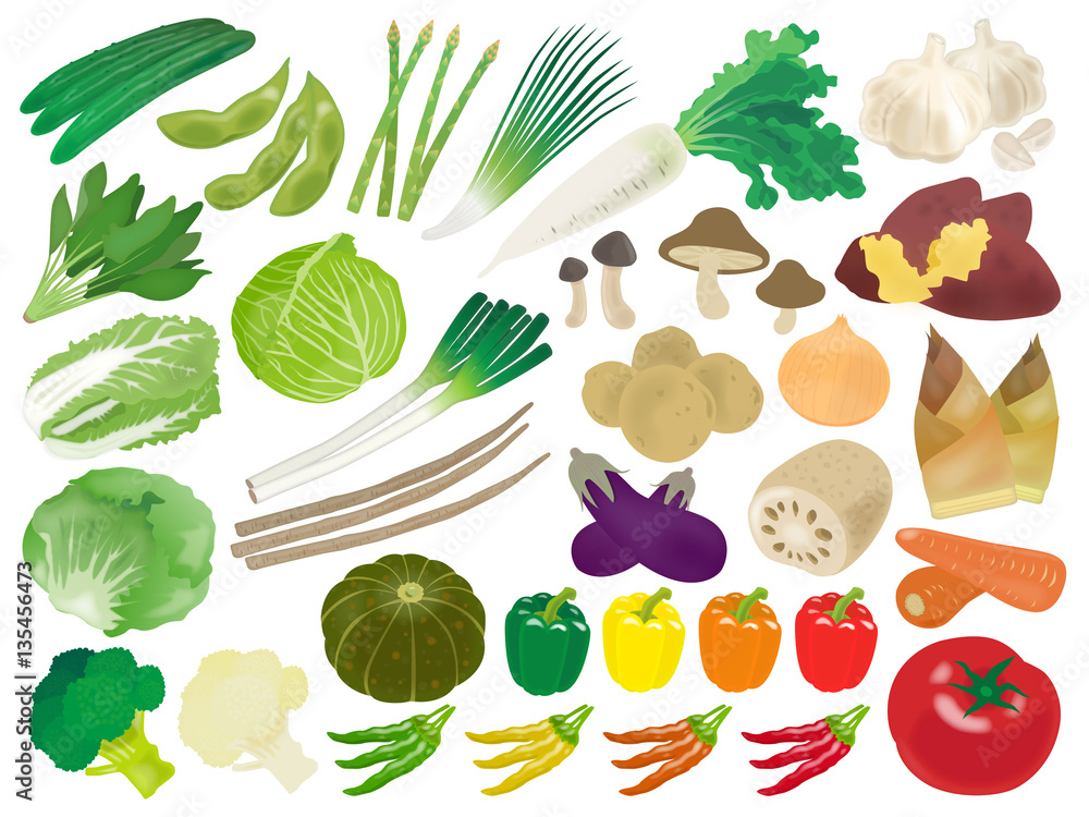 野菜のイラスト素材セット Stock ベクター Adobe Stock