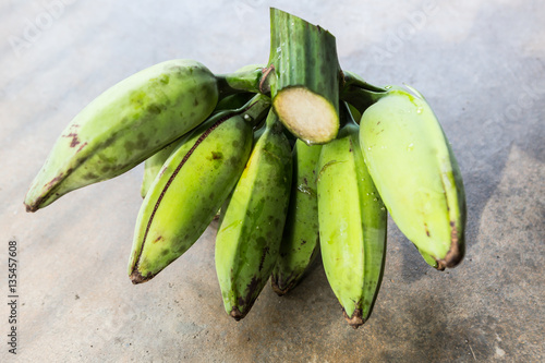 Wallpaper Mural Banana Torontodigital.ca