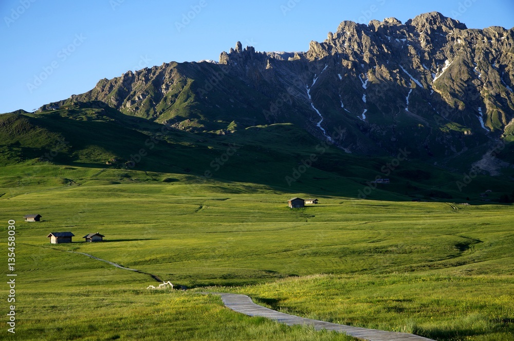 Wiese Wanderweg und Berge in Südtirol
