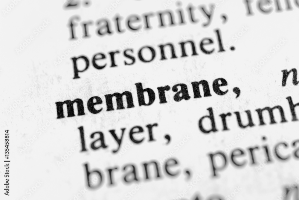 Obraz premium Membrane