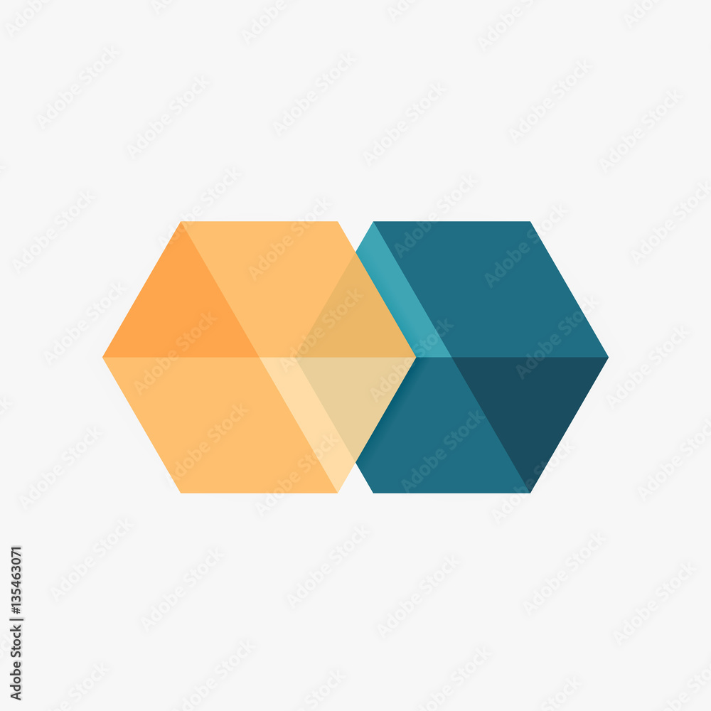 Empty blank hexagon layout, geometric template for text and options Empty blank hexagon layout, geometric template for text and options