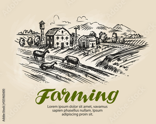 Farm sketch. Agriculture, farming vector illustration