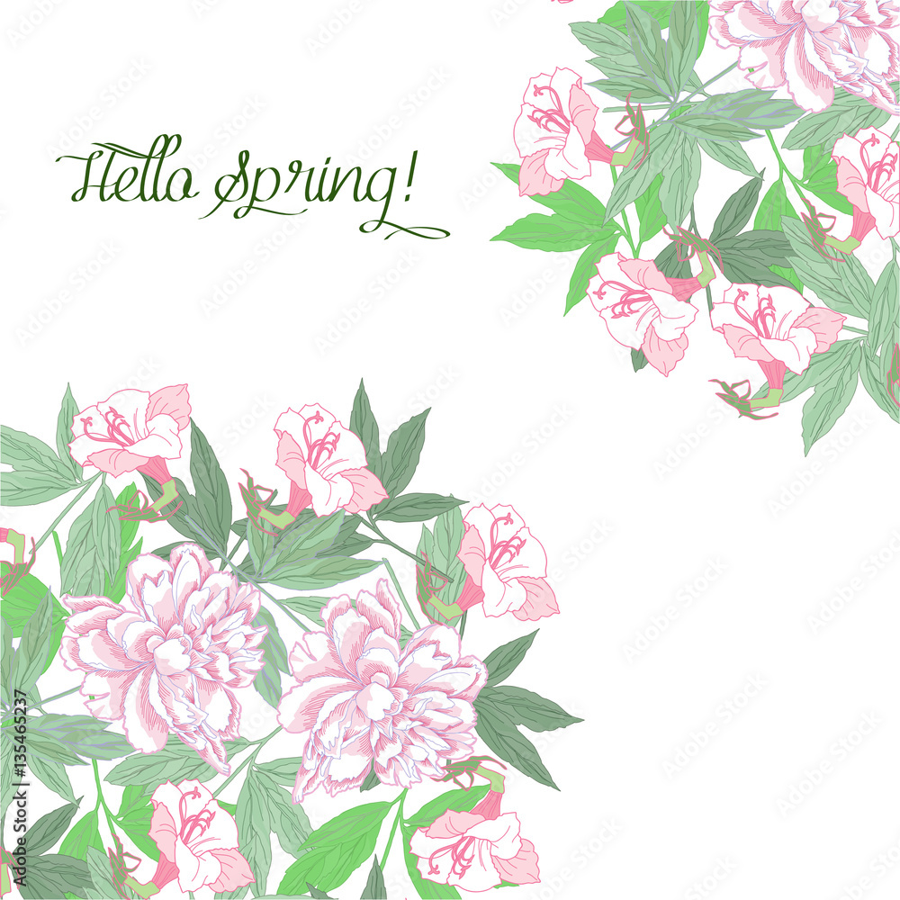 Spring background with pink flowers pink peonies