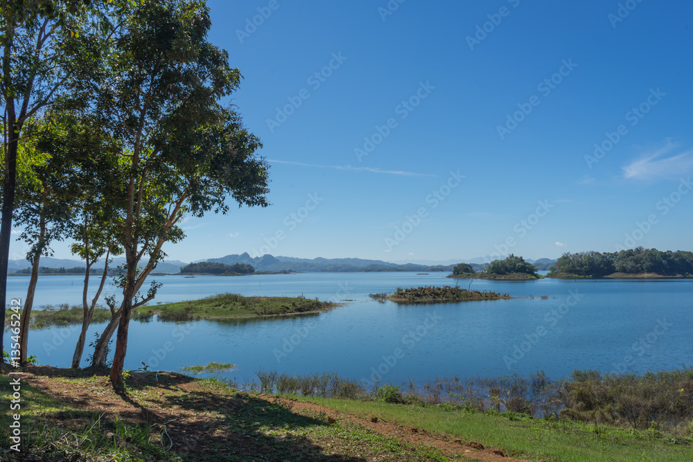 river and forest