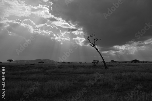 Sun rays breakthrough clouds in the Serengeti