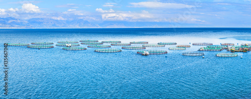 Sea fish farm. Cages for fish farming dorado and seabass. The workers feed the fish a forage. Seascape panoramic photography.