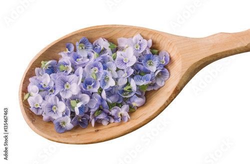 delicate blue flower petals in a wooden spoon close-up view from above isolated on white background