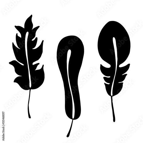 Vector hand drawn illustration, decorative ornamental stylized feather. Black and white graphic illustration isolated on the white background. Hand drawing silhouette.