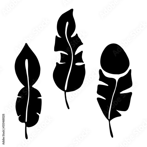 Vector hand drawn illustration, decorative ornamental stylized feather. Black and white graphic illustration isolated on the white background. Hand drawing silhouette.