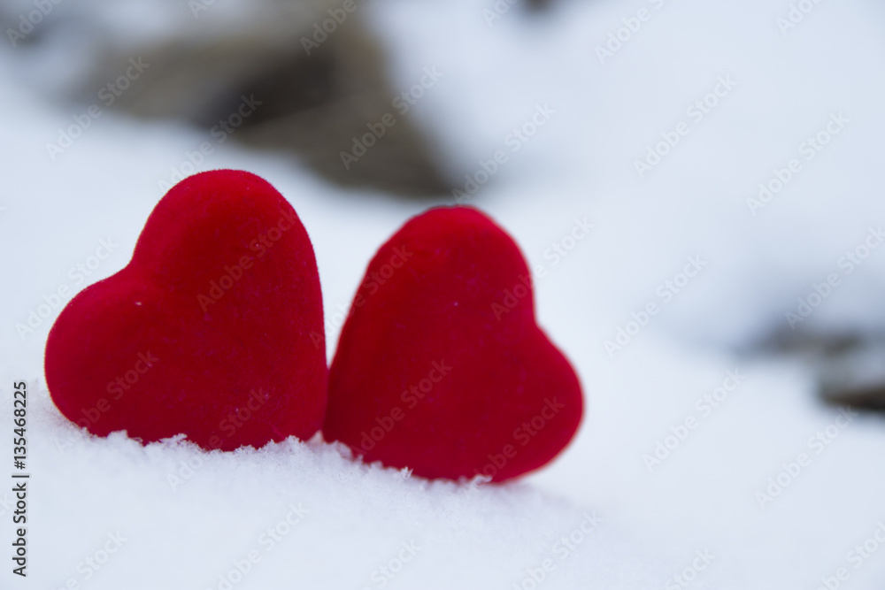 Fototapeta premium Red heart in nature decoration