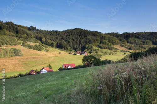 South Germany landscape with the farm