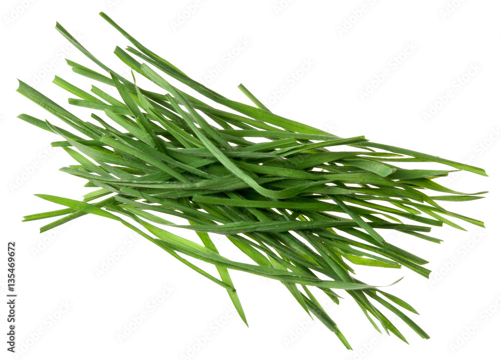 Fototapeta premium Gras auf Weiß