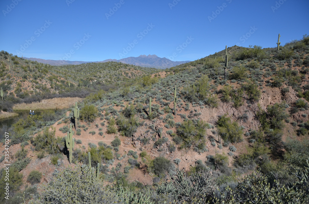 Saguaro Lake