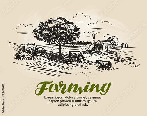 Farm sketch. Rural landscape, agriculture, farming vector illustration