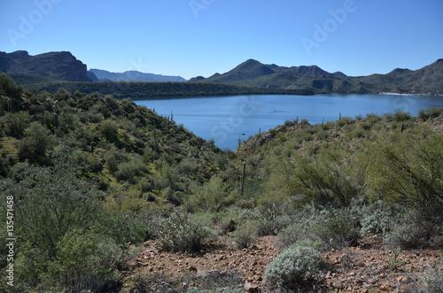 Saguaro Lake