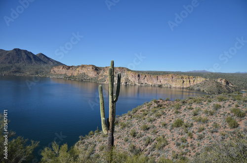 Saguaro Lake