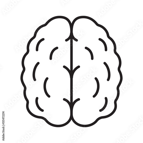 Human brain linear icon