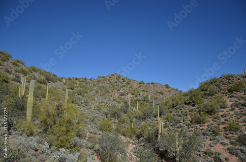 Saguaro Lake