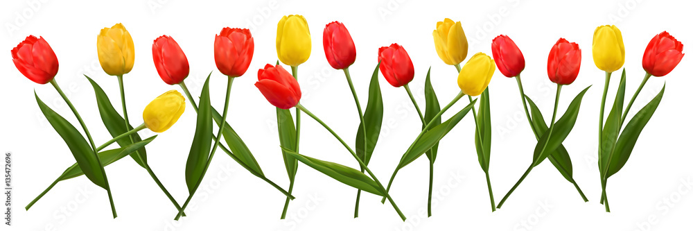 Flowers tulips for Valentine's Day and the eighth of March Flowers tulips for Valentine's Day and the eighth of March