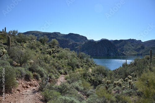 Saguaro Lake