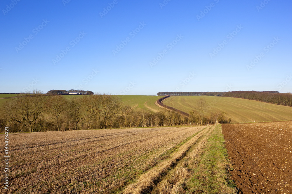 agricultural landscape