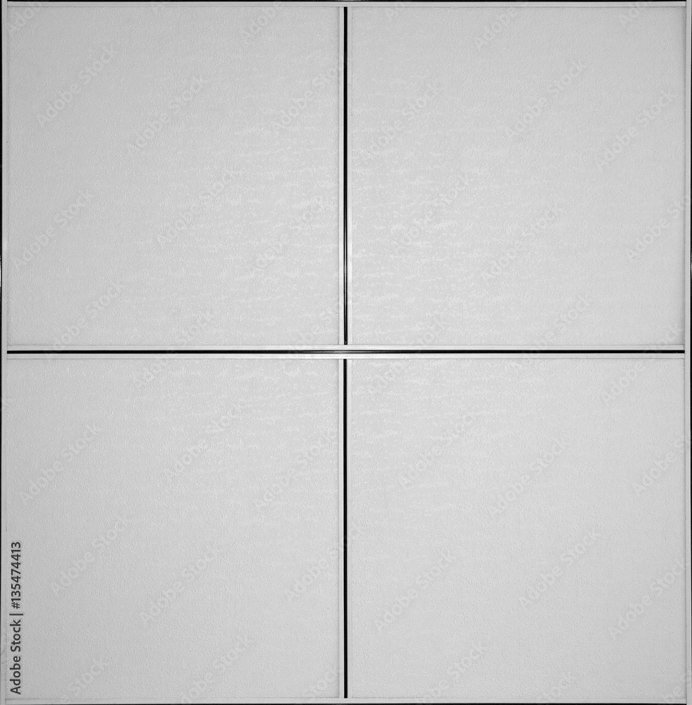 Fototapeta premium Ceiling texture