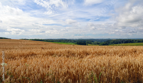 Landschaft in Frankreich 5 