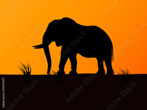 Vector silhouette elephant on background sunset