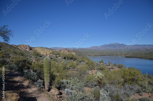 Saguaro Lake