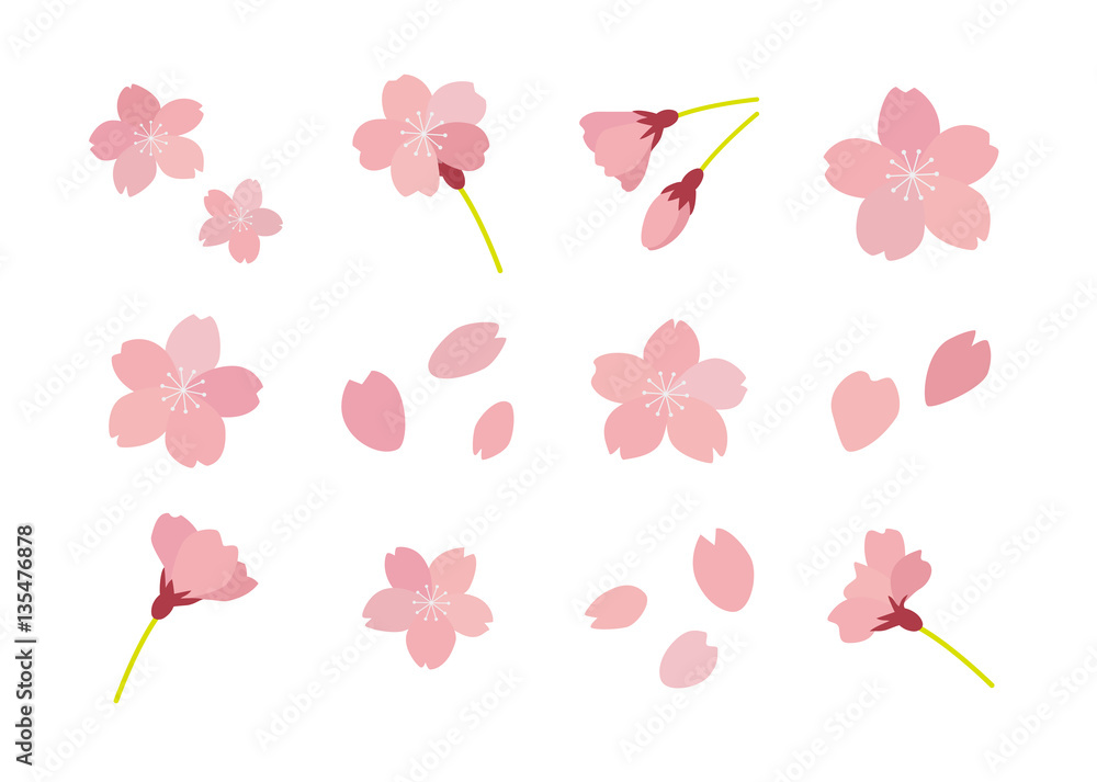 Obraz premium 桜のイラスト セット