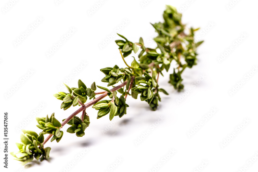 Fresh thyme sprigs lie on a white background, not isolated. Fresh thyme sprigs lie on a white background, not isolated.