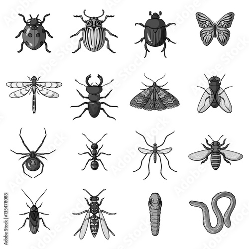 Insects set icons in monochrome style. Big collection of insects vector symbol stock illustration