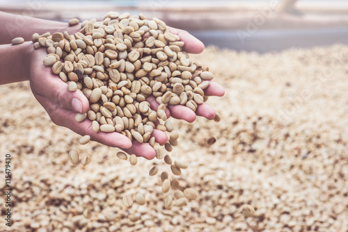 Background natural dried beans, coffee bean. Coffee in hand