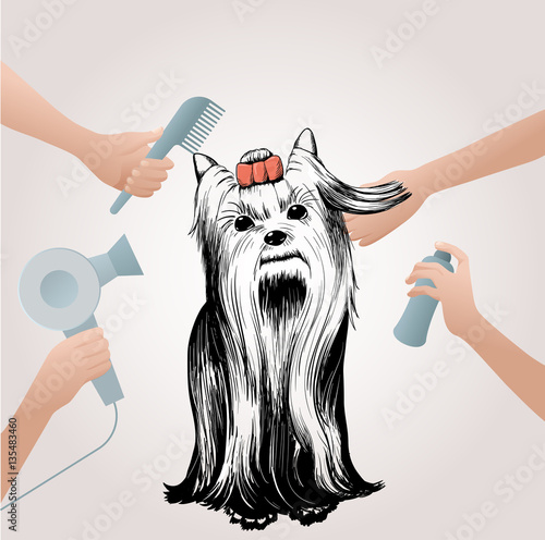 Beauty Pets Salon Concept