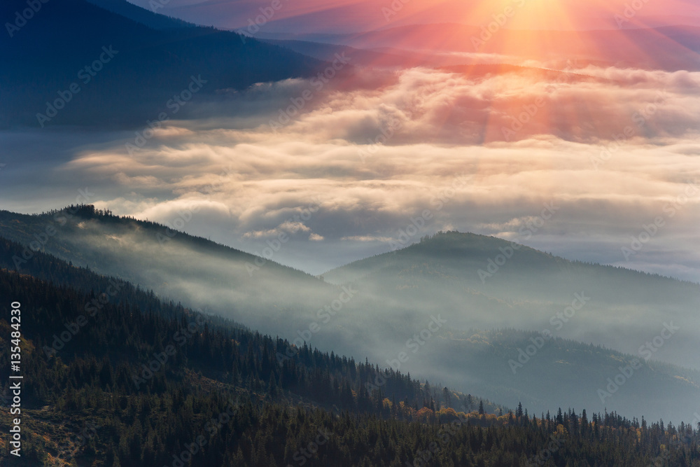 Magical and colorful landscape in the mountains at sunrise. View of foggy hills covered by forest.
