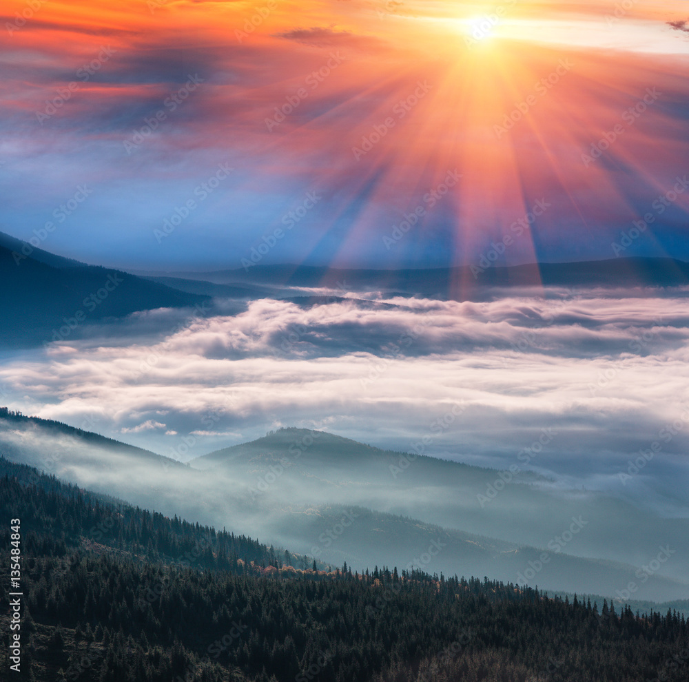 Magical and colorful landscape in the mountains at sunrise. View of foggy hills covered by forest. Magical and colorful landscape in the mountains at sunrise. View of foggy hills covered by forest.
