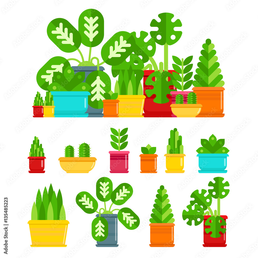 set-of-house-plants-colourful-plants-isolated-vector-flat-illustration