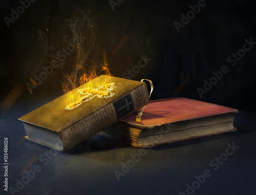 Holy Book/Bible burning