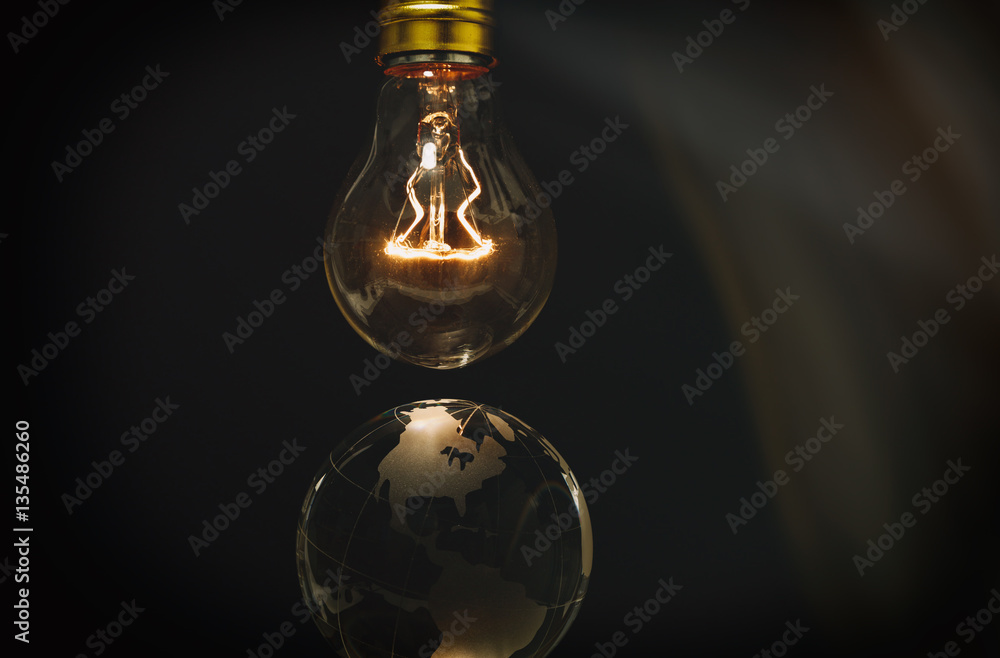 Light bulb and earth Light bulb and earth