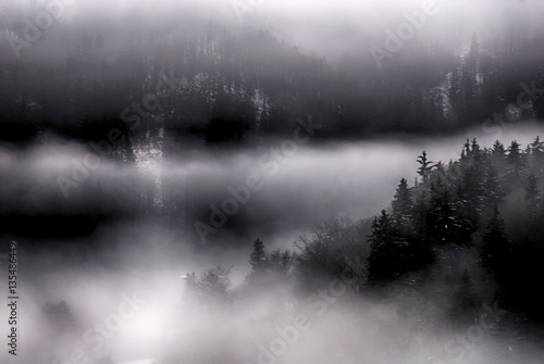 Landscape of mountain with misty fog
