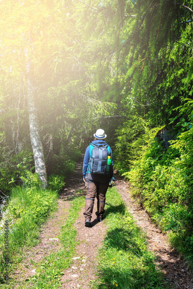 Fototapeta premium Hiker walk on the way