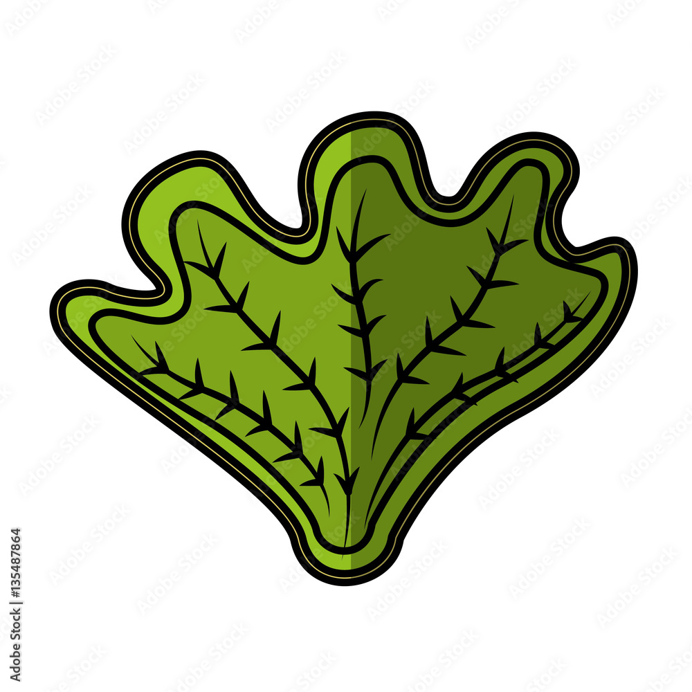Obraz premium fresh vegetable isolated icon vector illustration design