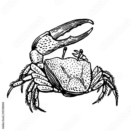 the crab stamp
