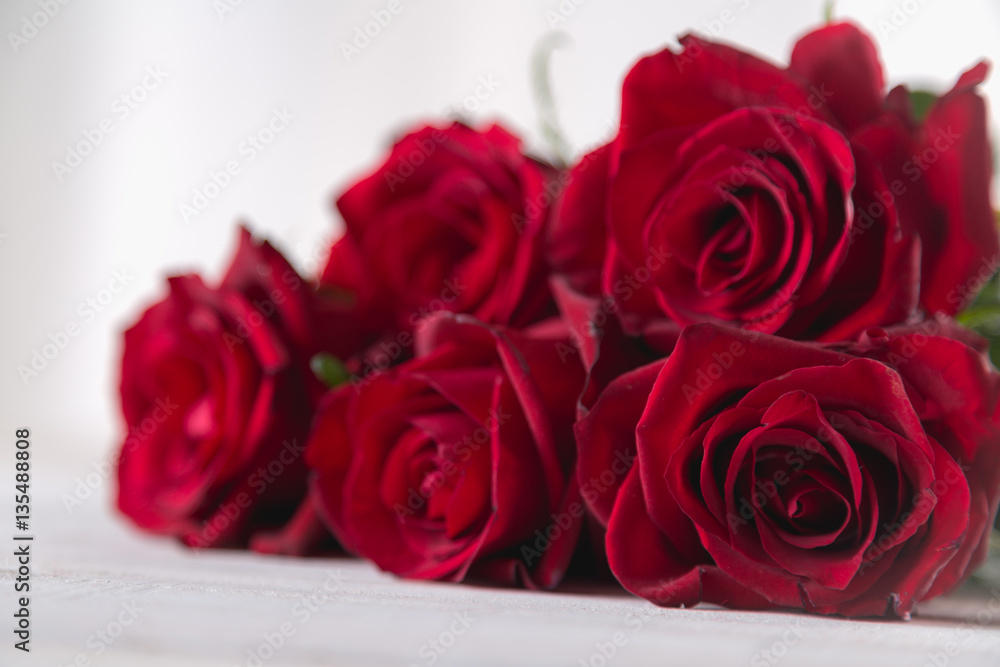 Beautiful roses, valentine’s concept, bright background Beautiful roses, valentine’s concept, bright background