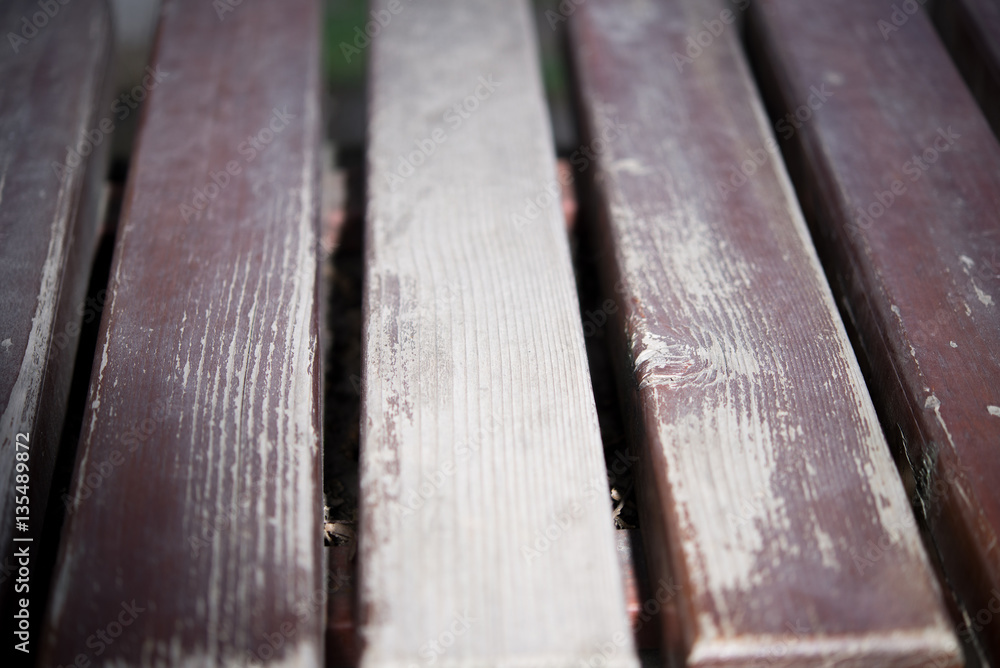 bench in the park bench in the park