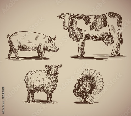Farm animals in sketch style. Vector illustration livestock drawn by hand. Cow, sheep, pig and turkey on gray background.