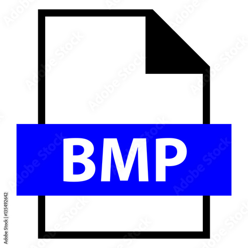 File Name Extension BMP Type